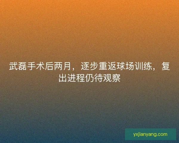 武磊手术后两月，逐步重返球场训练，复出进程仍待观察