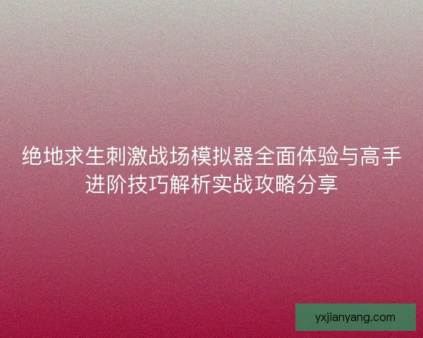 绝地求生刺激战场模拟器全面体验与高手进阶技巧解析实战攻略分享